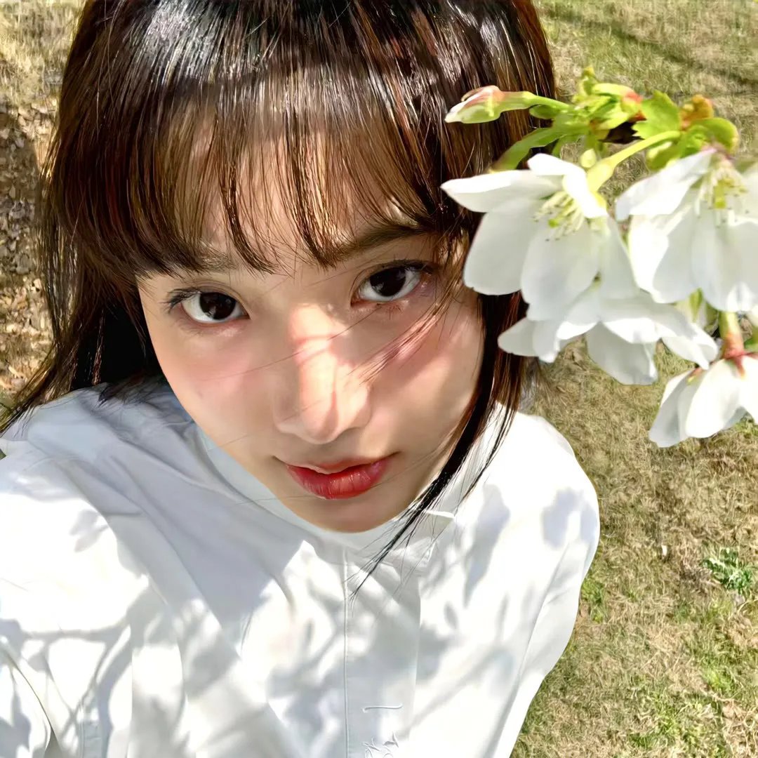 约克女巫会